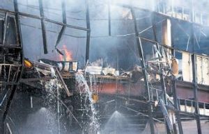 國內稅收署 國內稅收署