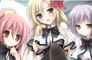 麗莎·海渥卡 麗莎·海渥卡