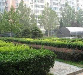 曙光名座 曙光名座