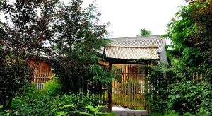 竹林小院 竹林小院