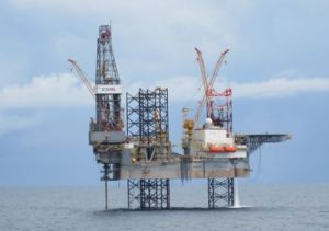 凱旋一號[辣椒品種]