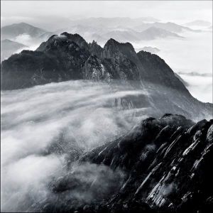 李發枝[攝影師]