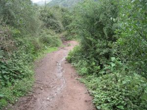 拾梨樹村 拾梨樹村