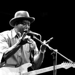 buddy guy buddy guy