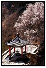 邢台九龍峽風景