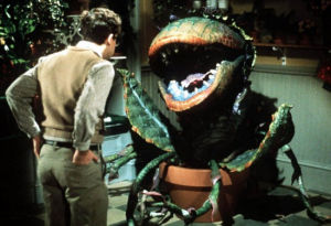 斯圖爾特·麥克弗森 斯圖爾特·麥克弗森