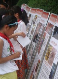 合肥教育信息網 合肥教育信息網