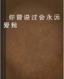 你曾說過會永遠愛我 你曾說過會永遠愛我