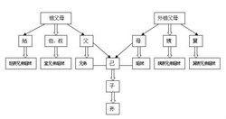 旁系血緣關係 旁系血緣關係