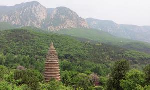 嵩山[五嶽之一]