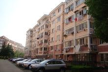 張江新苑小區圖