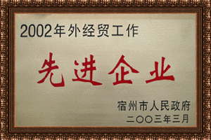 2002年外經貿工作先進