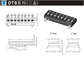 DTS系列