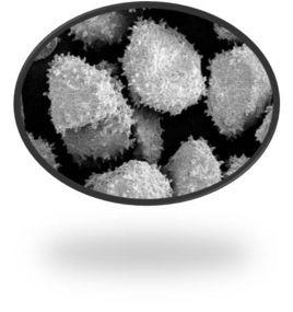 鍍鎳金剛石 鍍鎳金剛石