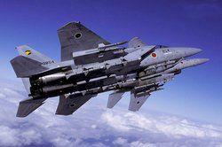 白鷹飛行中隊 白鷹飛行中隊