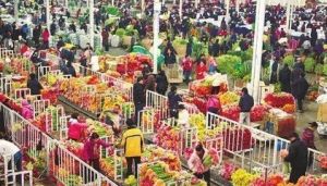 昆明斗南花市 昆明斗南花市