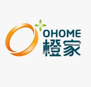 廣州市橙家裝飾工程有限公司 廣州市橙家裝飾工程有限公司