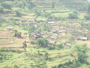 團田自然村[雲南省文山縣開化鎮團田自然村]