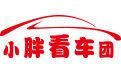 小胖看車團 小胖看車團