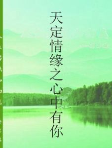 天定情緣之心中有你 天定情緣之心中有你
