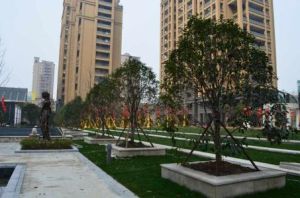 紹興蔚蘭星城 紹興蔚蘭星城