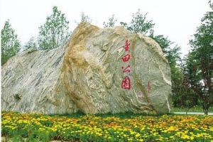 金田郊野公園 金田郊野公園