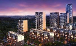 愛麗香舍 愛麗香舍