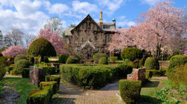 美國紐約長島大學 美國紐約長島大學