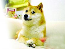 圖為愉悅的表情