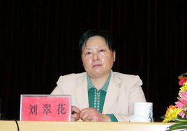 劉翠花[化德縣開地村婦聯主任]