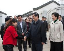 各級領導部門在白馬鎮調研指導