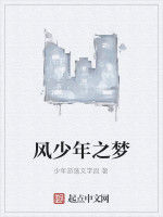 風少年之夢 風少年之夢