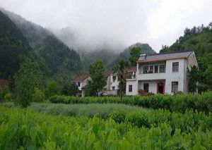 山村生活任逍遙 山村生活任逍遙