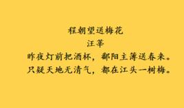 程朝望送梅花 程朝望送梅花