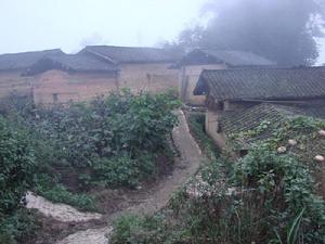 大木卡衣自然村-村中道路