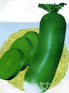 衛青[青蘿蔔別名]