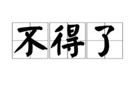 不得了[詞語]