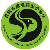 盤錦黑嘴鷗保護協會 盤錦黑嘴鷗保護協會