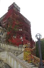 加拿大皇家大學