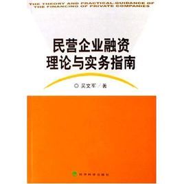 民營企業融資理論與實務指南 民營企業融資理論與實務指南