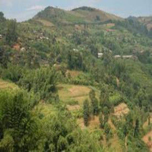 益智鄉和平村 益智鄉和平村