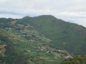 溫水井村 溫水井村