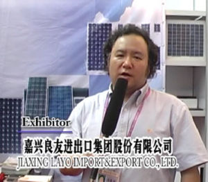 嘉興良友進出口集團股份有限公司