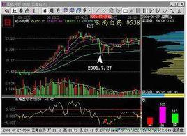 受傷莊股 受傷莊股