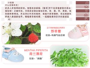 生態e園の綠色氧吧 可可香草