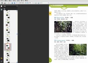 大別山地區典型植物圖鑑截圖