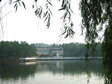 玉龍社區[四川瀘縣立石鎮下轄社區]