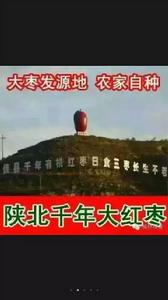 李家圪凹村 李家圪凹村