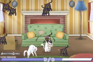 一秒鐘變麵包貓 一秒鐘變麵包貓