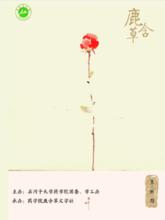 石河子大學鹿含草文學社